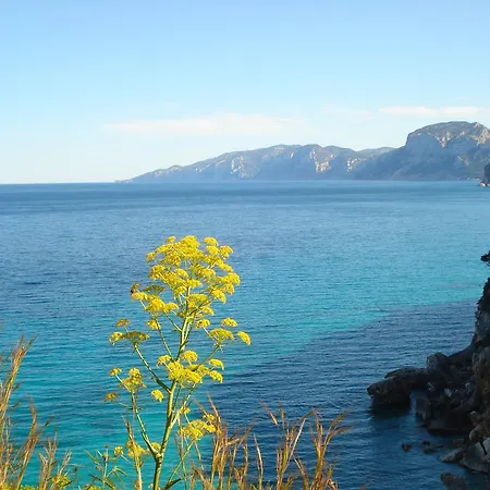 Casa Degli Oleandri Sul Cortile R6314 Cala Gonone
